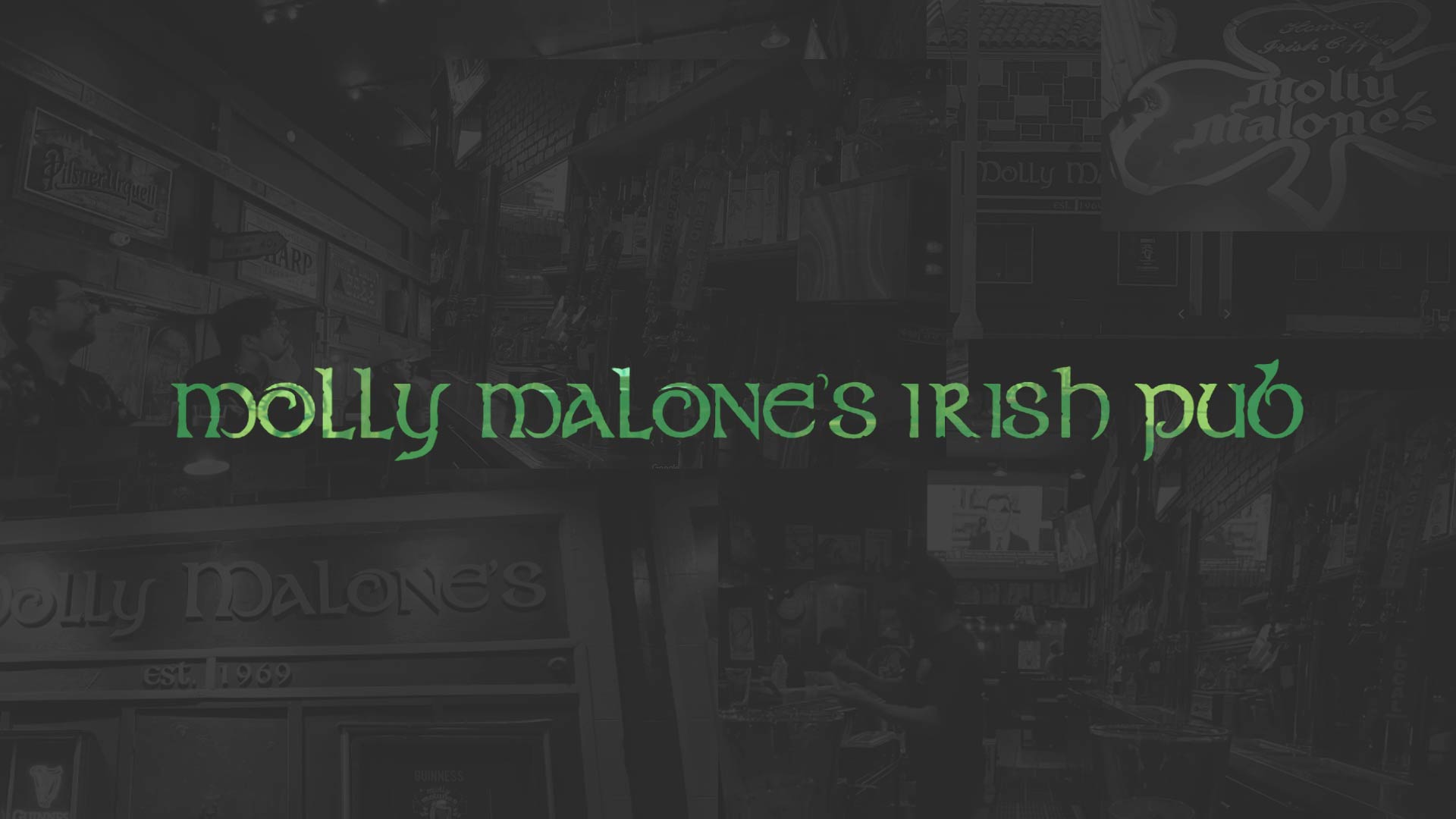 Molly Malone's Irish Pub logo